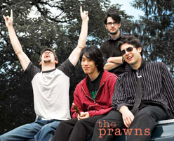 The Prawns