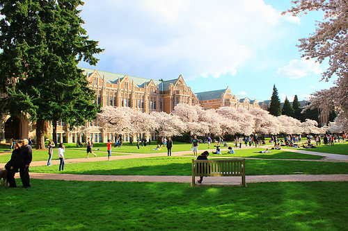 quad