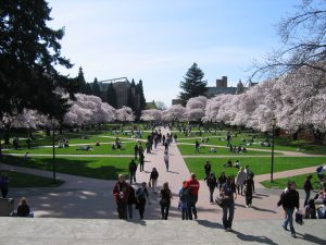 university_of_washington_quad_spring_2007