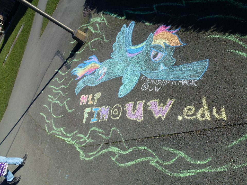 chalk pony drawing on UW campus