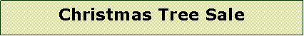 Text Box: Christmas Tree Sale