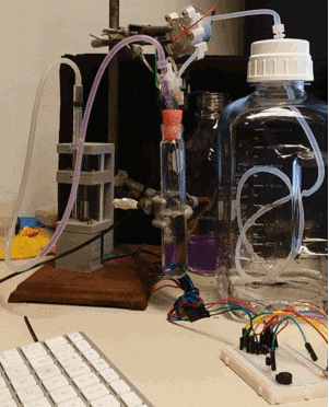 Viva La Violacein project