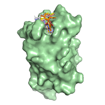 Stronger Together project