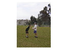 thumbnail29
