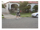 thumbnail49