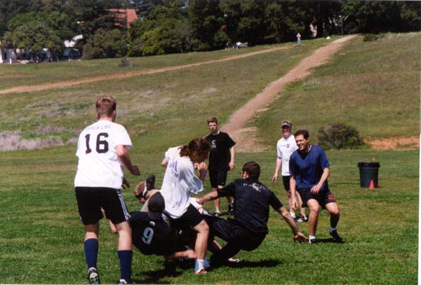 santa_cruz11