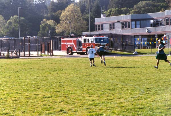 santa_cruz31