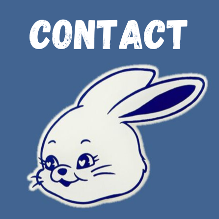 bunnies icon contact