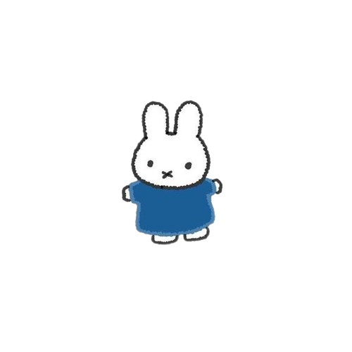 miffy icon