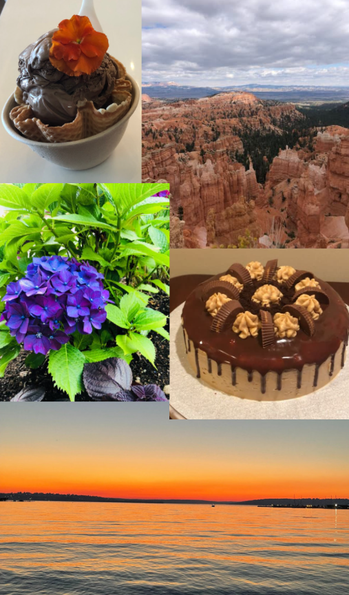 A bowl of
        chocolate-banana ice cream, a periwinkle/lilac colored flower, a sunset
        at the beach, a reese's peanut butter cake, and one of the viewpoints
        from a bryce canyon hike