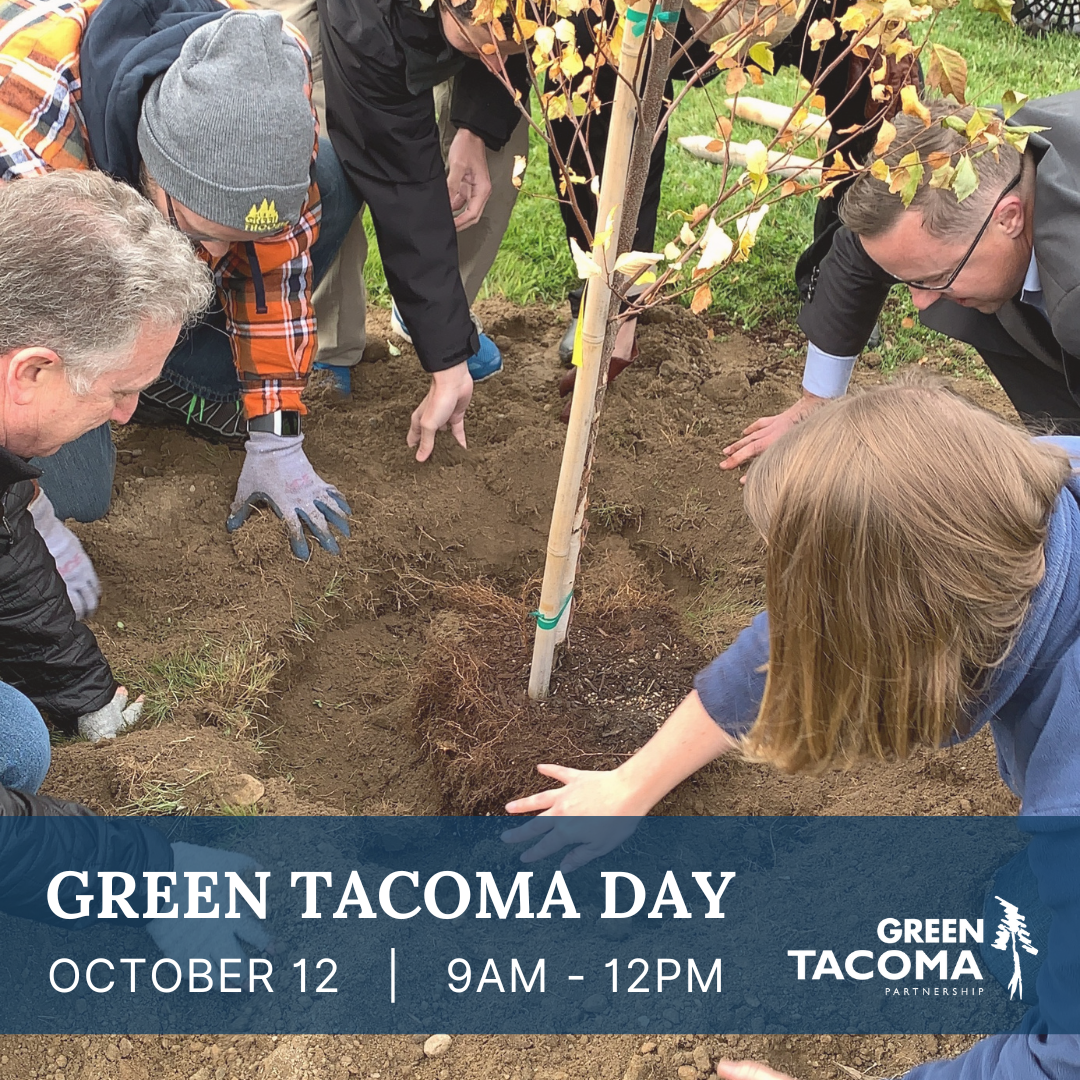 Green Tacoma Day Banner