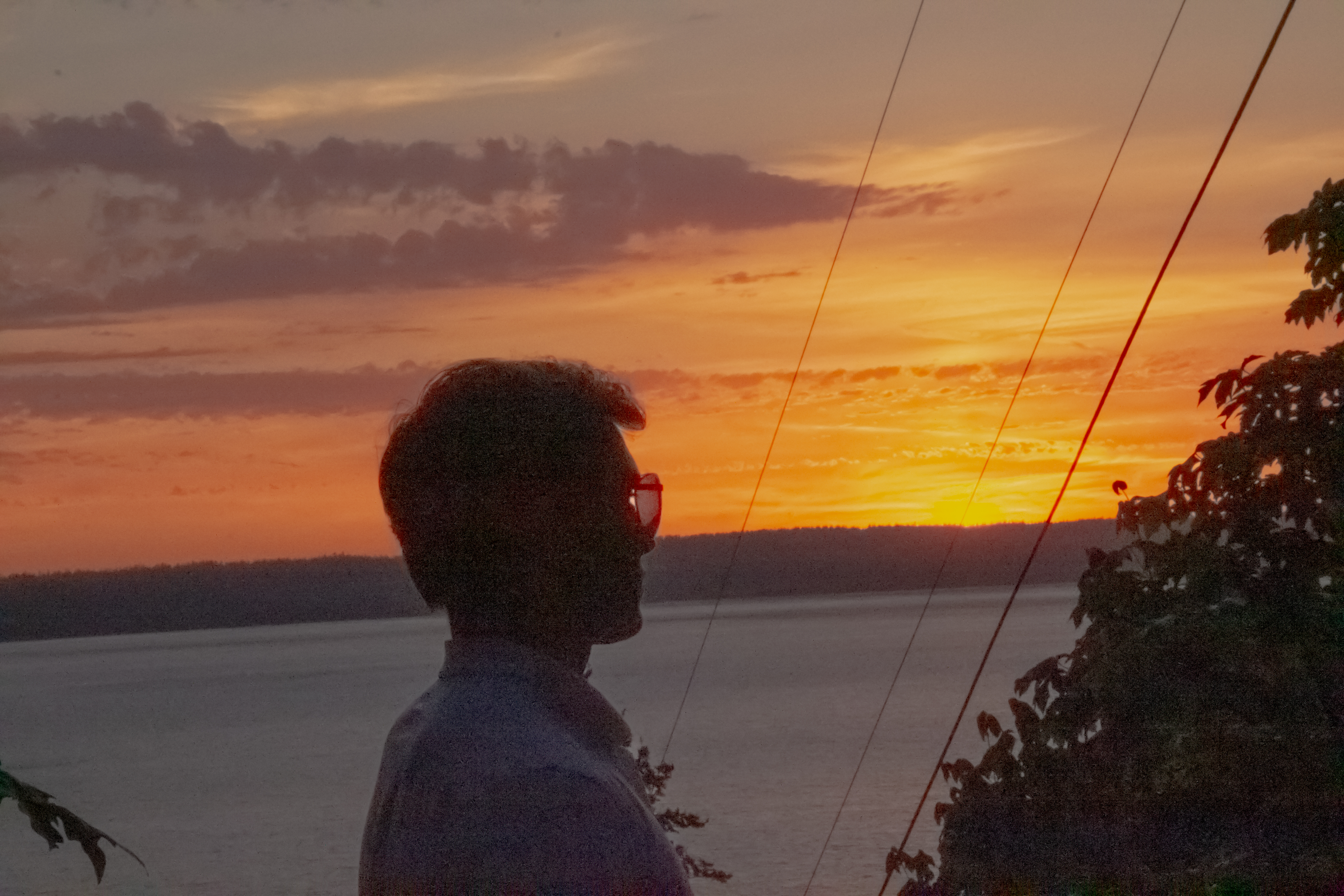 Gallery Logo image link