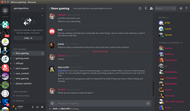 Discord Screenshot